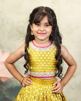 Mustard Yellow And Magenta Brocade Lehanga