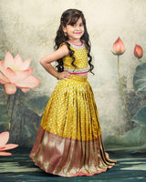Mustard Yellow And Magenta Brocade Lehanga