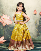 Mustard Yellow And Magenta Brocade Lehanga