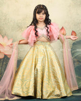 Pastel Green And Peach Brocade Lehanga Set