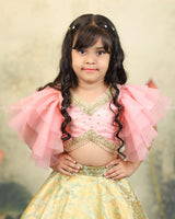 Pastel Green And Peach Brocade Lehanga Set