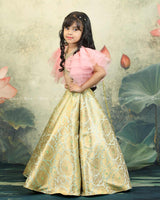 Pastel Green And Peach Brocade Lehanga Set