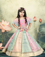 Pastel Multi Brocade Panel Skirt With Handcrafted Multi Floral Crop Top