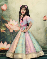 Pastel Multi Brocade Panel Skirt With Handcrafted Multi Floral Crop Top