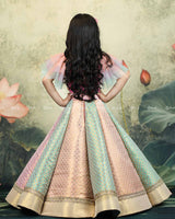 Pastel Multi Brocade Panel Skirt With Handcrafted Multi Floral Crop Top