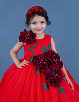 Designer Gown for Girl