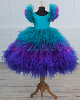 Peacock Double Shaded Feather Frill with Heavy Intrecated Handwork on Yoke