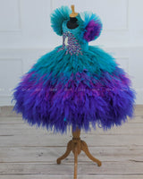 Peacock Double Shaded Feather Frill with Heavy Intrecated Handwork on Yoke