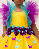 Butterfly Frock for kids online