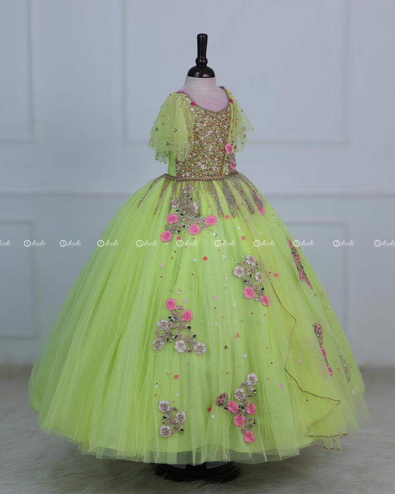 Light Lime Green Powder Blue Gown with Intricate Handworks