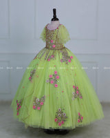 Light Lime Green Powder Blue Gown with Intricate Handworks