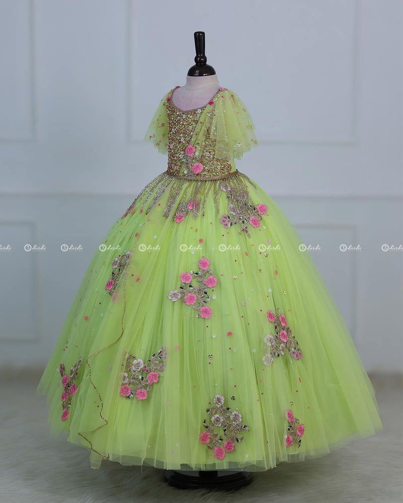 Light Lime Green Powder Blue Gown with Intricate Handworks