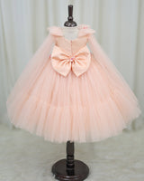Dreamy Floral  Light Peach Prince & Princess Gown