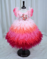 Multi-Shaded Feather Frill Gown with Flamingo Appliqué highlighted with handwork