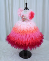 Multi-Shaded Feather Frill Gown with Flamingo Appliqué highlighted with handwork