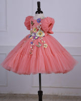 Blush Peach Fairy Tale Dress Highlighted with Flowers.