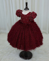 Wine Red Embellished Feather Frock