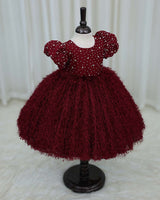 Wine Red Embellished Feather Frock