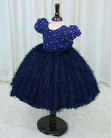 Navy Blue Embellished Feather Frock