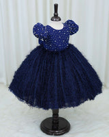 Navy Blue Embellished Feather Frock