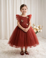 Net Sleeveless Ruffled Yoke Butterfly Theme Knee-Length Frock-Brick Red(New)(Bestseller)