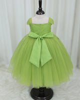 Pea Green Gown with Silver Leaf Detailing