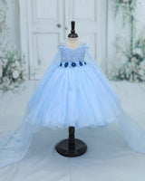 Net Cap Sleeve Detachable Back Trail Snow Theme Full Length Gown -Sky Blue(New)