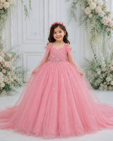 Net Cap Sleeve Detachable Back Trail Snow Theme Full Length Gown - Pale Rose(New)