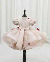 Organza Puff Sleeve floral and Fashion Patches Calf-Length Gown for Baby Girl in Coral Peach (New)