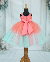 Net Cap Sleeve Aari & 3D Butterfly Floral Full Length Gown - Flamingo Pink & Sea Green(New)