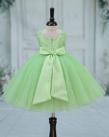 Net Cap Sleeve Fit & Flare Silver Leaf Detailing Full Length Gown - Pastel Green(New)
