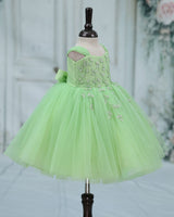 Net Cap Sleeve Fit & Flare Silver Leaf Detailing Full Length Gown - Pastel Green(New)
