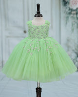 Net Cap Sleeve Fit & Flare Silver Leaf Detailing Full Length Gown - Pastel Green(New)