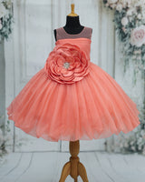 Organza Sleeveless A-line Floral Full Length Gown - Flamingo Pink(New)