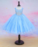 Organza Cap Sleeve Detachable Back Trail Snow Theme Full Length Gown - Blue(New)