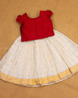 Maroon and  Ivory and Off White Ethnic Top and Skirt.