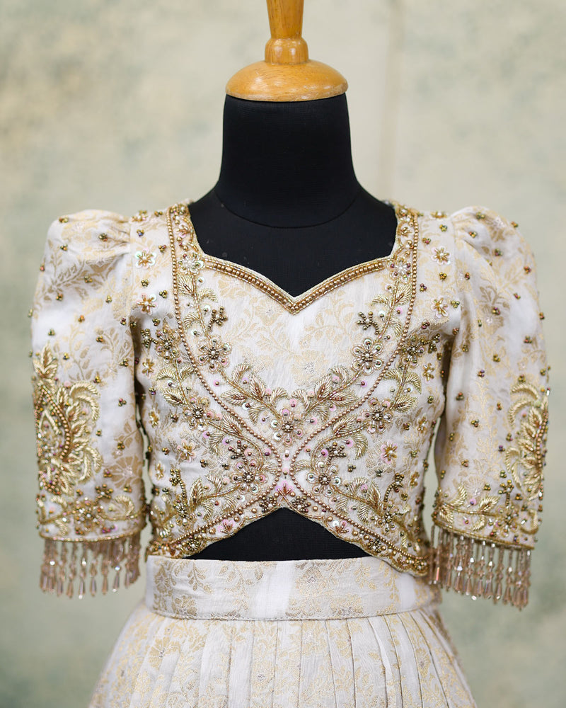 Heavy Ari Worked Top And Pleated Skirt With Dupatta