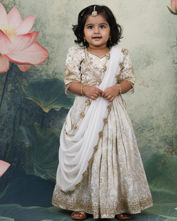 Heavy Ari Worked Top And Pleated Skirt With Dupatta