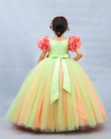 Tea Green & Coral Frock with Ball Flower Sleeves