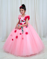 Cherry Blossom Pink Net Ball Gown with Red Embroidered Flower Patch and Dark Green Leaf Detailing