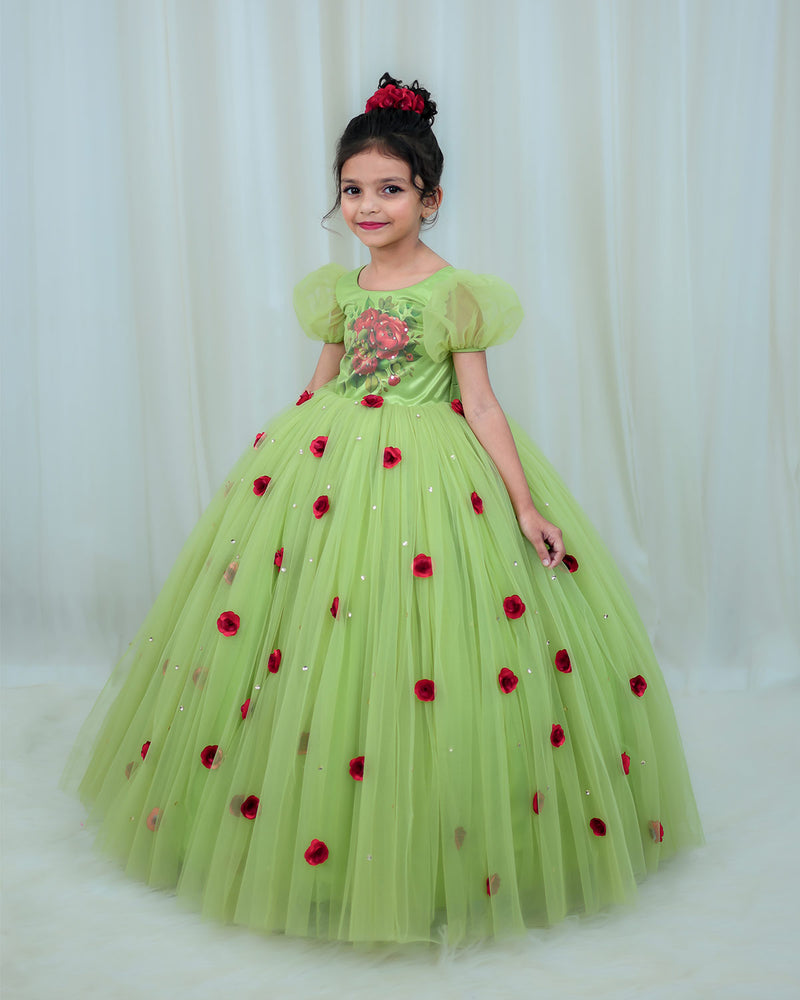Tea Green Gown with Rose Flower Print and 3D Hand Crafter Rose Flower ...