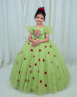 Tea Green Gown with Rose Flower Print and 3D Hand Crafter Rose Flower Detailing