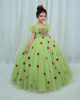Tea Green Gown with Rose Flower Print and 3D Hand Crafter Rose Flower Detailing