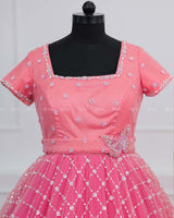 Flamingo Gown Butterfly Theme Dress Highlighted with Handwork.