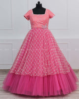 Flamingo Gown Butterfly Theme Dress Highlighted with Handwork.