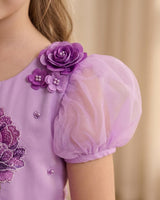 Puff sleeve-Net