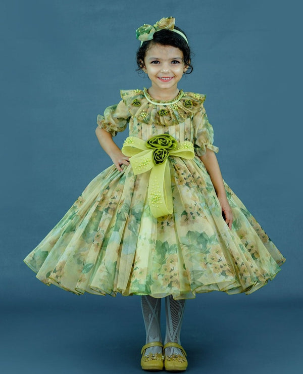 Olive Green And Pale Yellow Green Floral Printed Organza Short Gown With Handcrafted Yoke