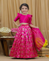 Rani Pink Brocade Skirt with Top.