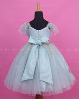 Pastel Powder Blue Gown with Intricate Handworks