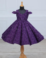 Purple Shaded Floral Embroiderred Panel Gown